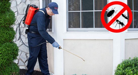Çobanlar Haşere İlaçlama böcek ilaçlama ve haşere kontrolü — ilaclama-tr.com